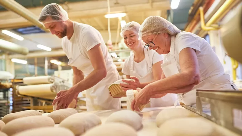Three bakers kneading dough and shaping bread loaves in a bakery.